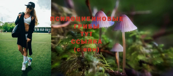 герыч Дмитриев