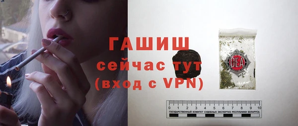 мдпв Гусев