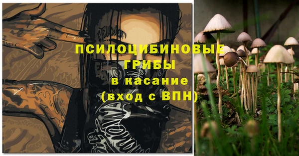 каннабис Дмитров