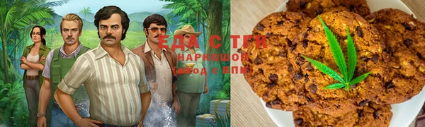 мдпв Дмитровск