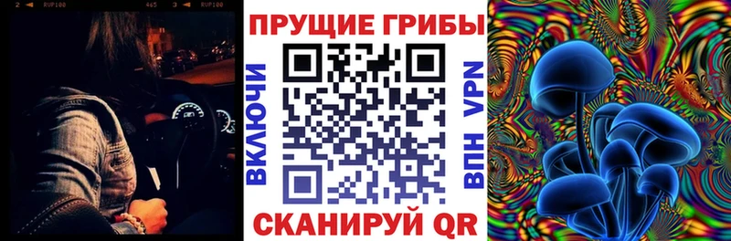 Галлюциногенные грибы Cubensis  Купить  Ермолино 